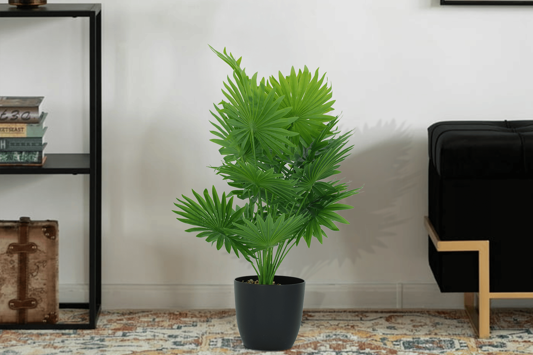 Royaloak Broad Leaf Lady Palm 