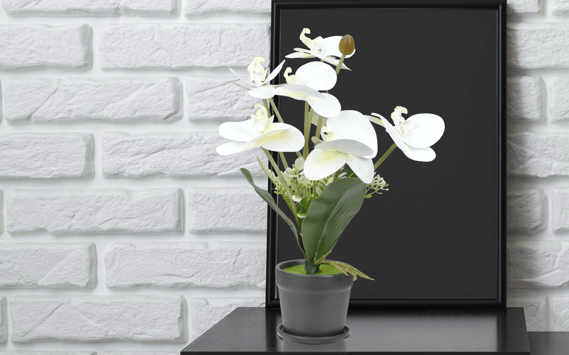 Royaloak Seven Heads Butterfly Orchid Flowers - White - 16 Inches