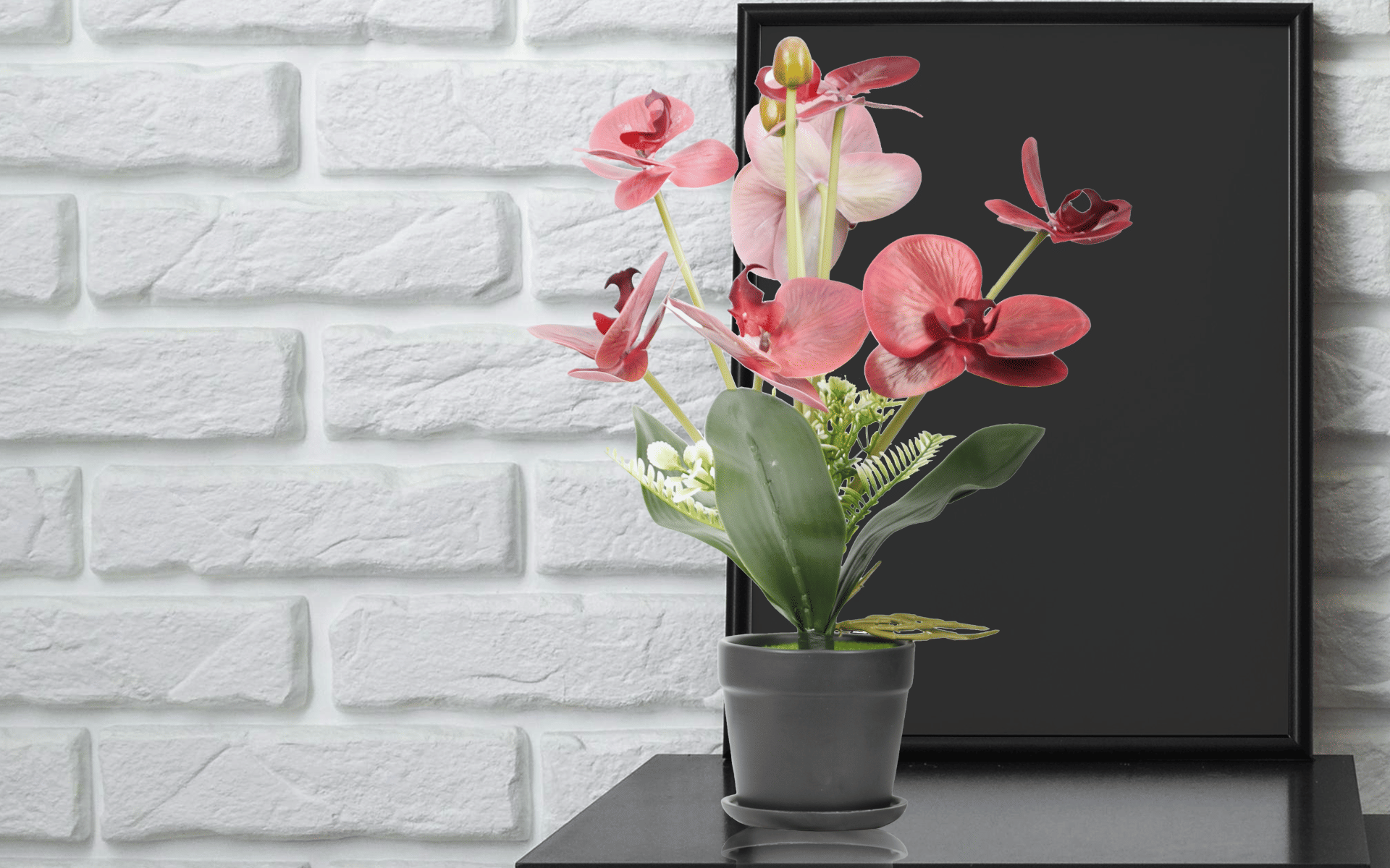 Royaloak Seven Heads Butterfly Orchid Flowers - Red - 16 Inches