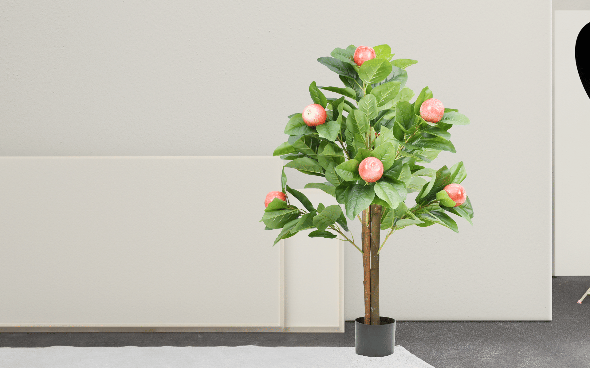 Royaloak Apple Tree - 51.18 Inches