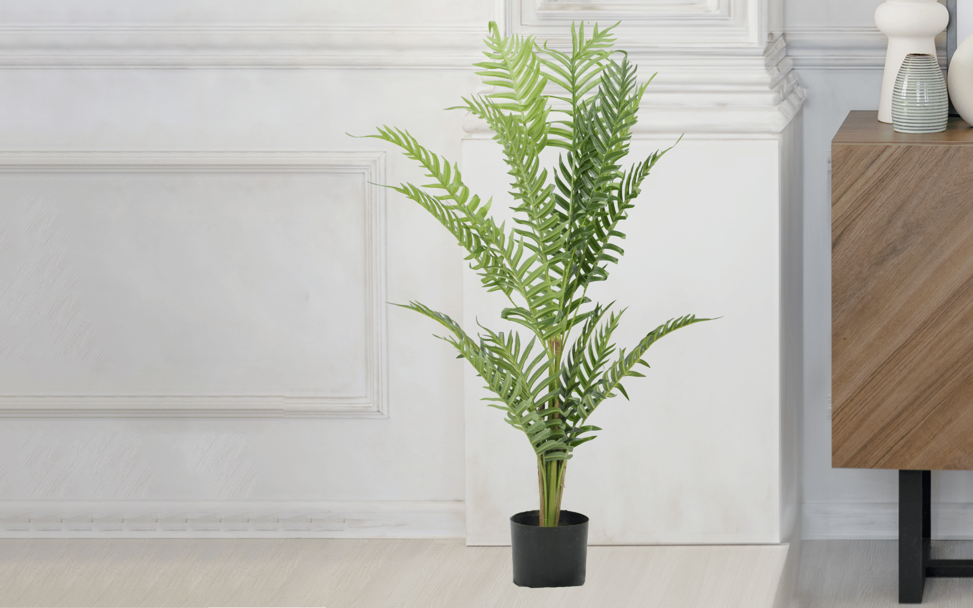 Buy Royaloak Chrysalidocarpus Lutescens - 51.18 Inches online