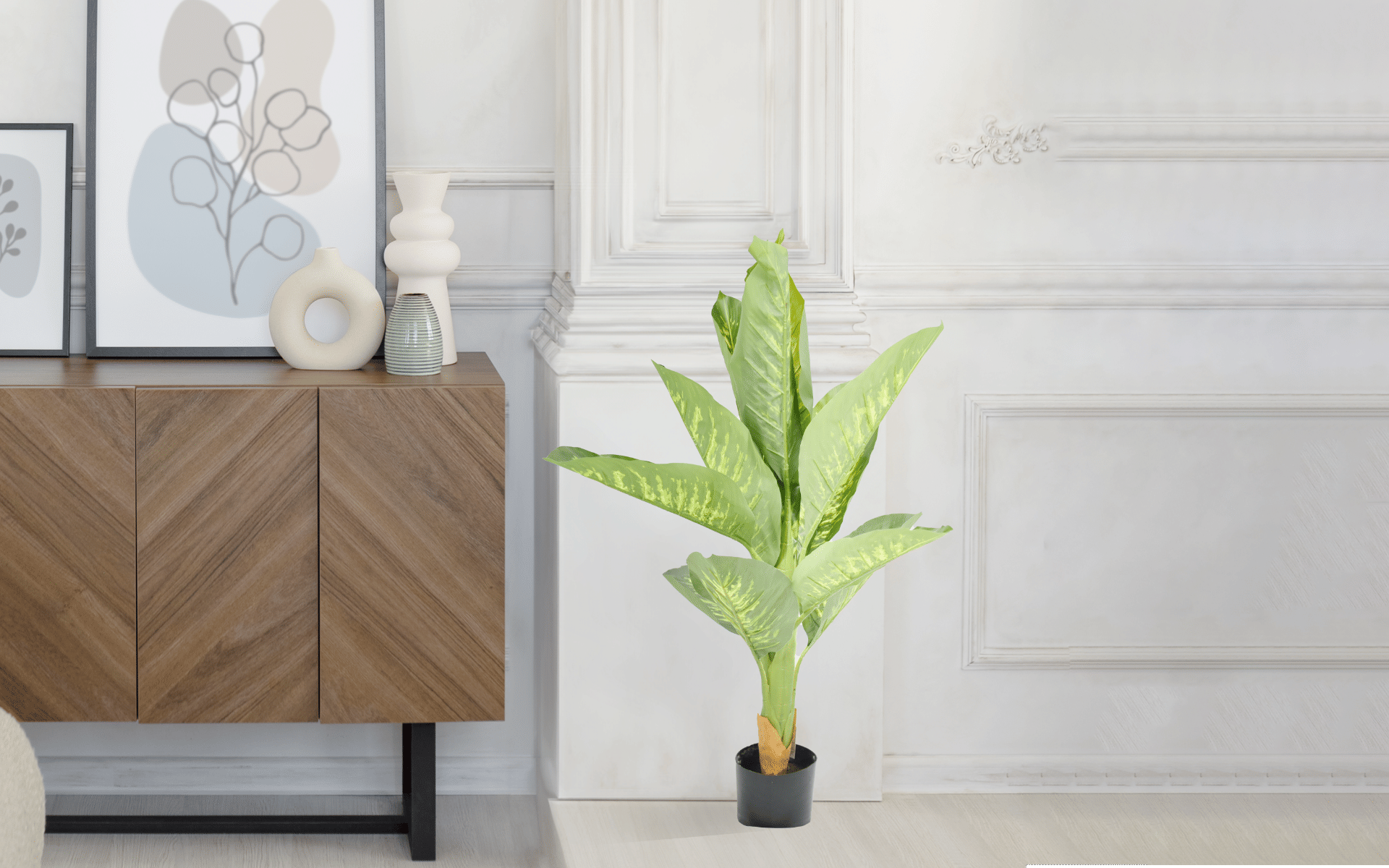 Buy Royaloak Dieffenbachia Plant - 47.24 Inches online