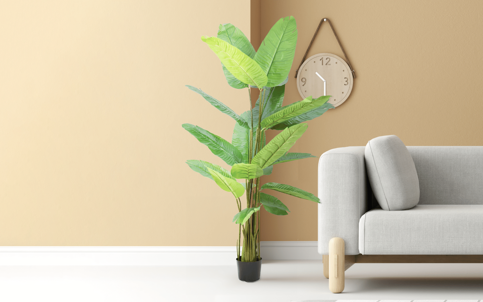 Royaloak Travelers Banana Tree - 82.68 Inches