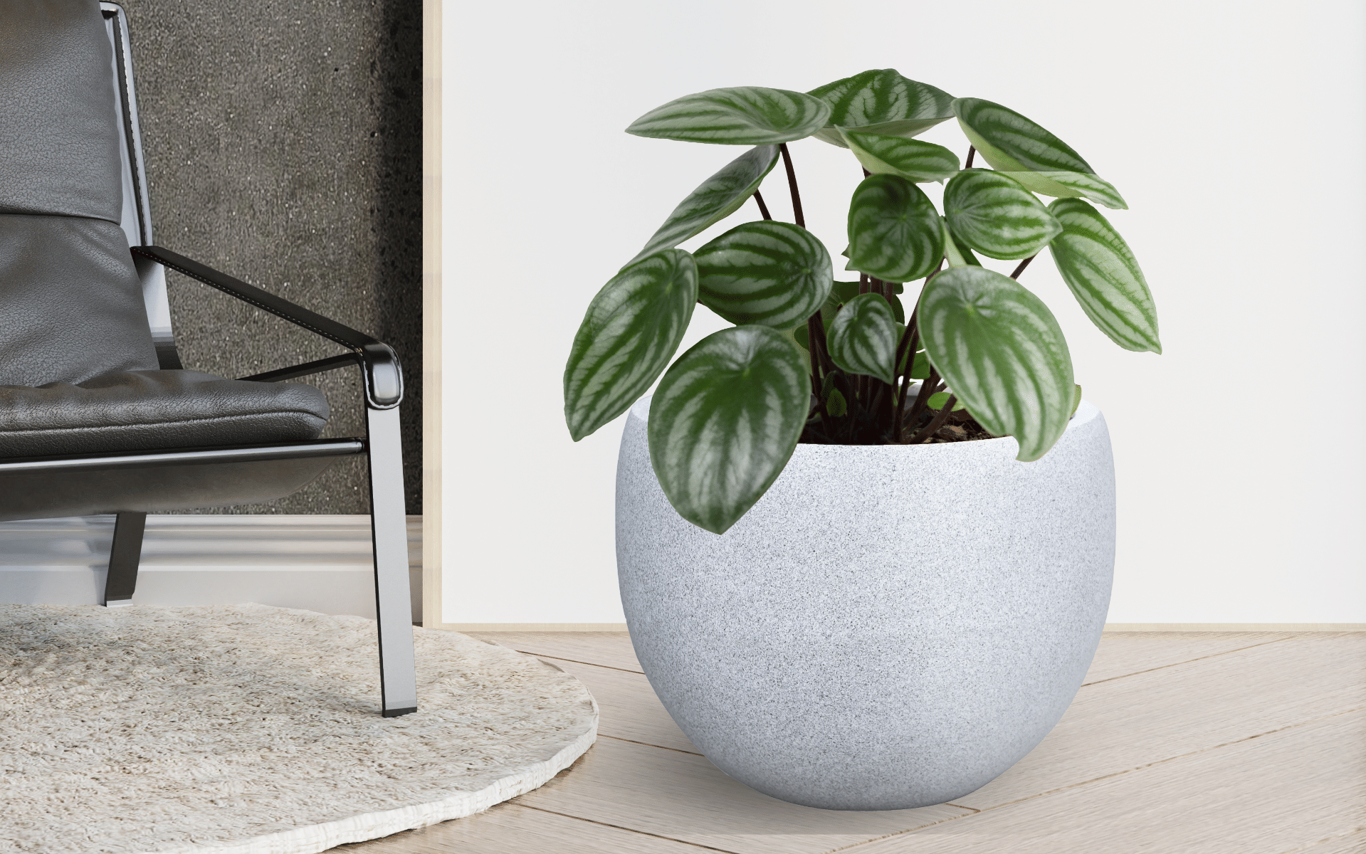 Buy Royaloak Large Planter - Off White online